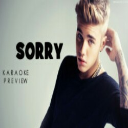 Sorry Justin Bieber Song