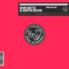 Thing For You (David Guetta & Martin Solveig)