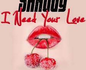 I Need Your Love (Shaggy Feat. Mohombi) Mp3 Song