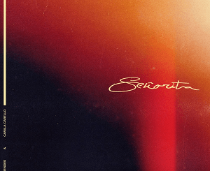 Shawn Mendes & Camila Cabello - Señorita Mp3