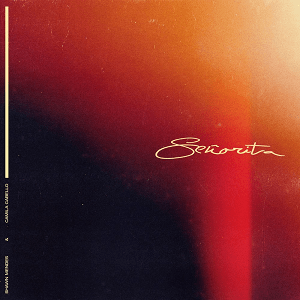 Shawn Mendes & Camila Cabello - Señorita Mp3